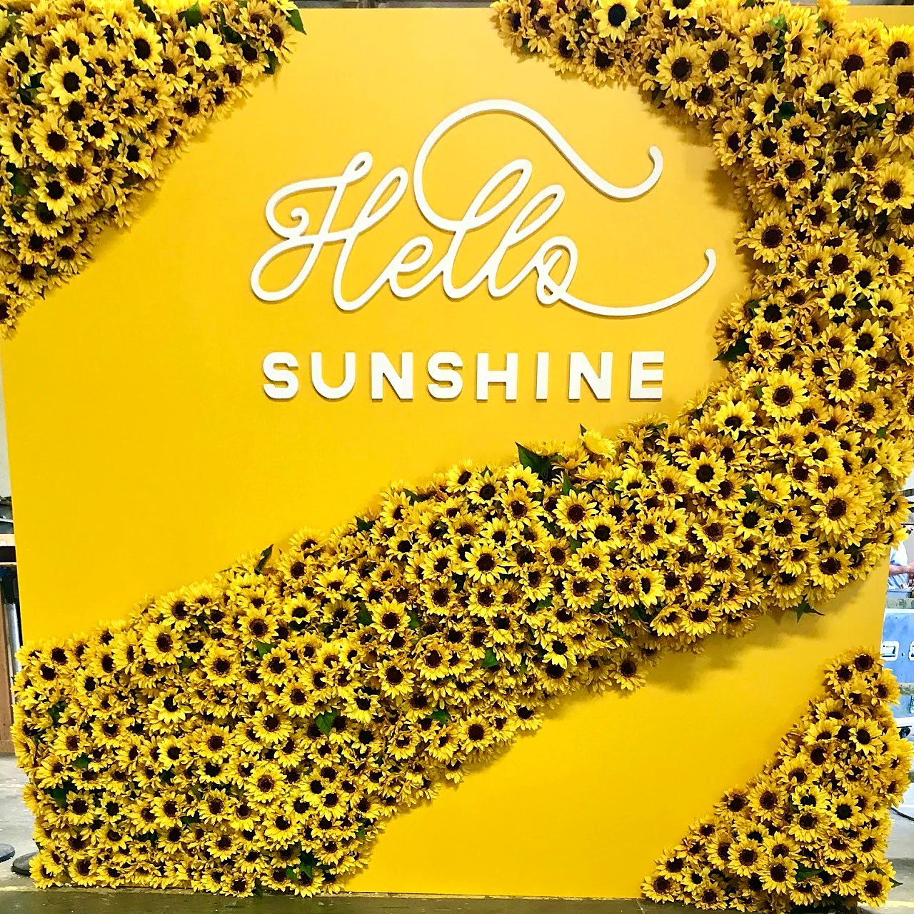 Yellow sunflower flower wall with dimensional Hello Sunshine lettering